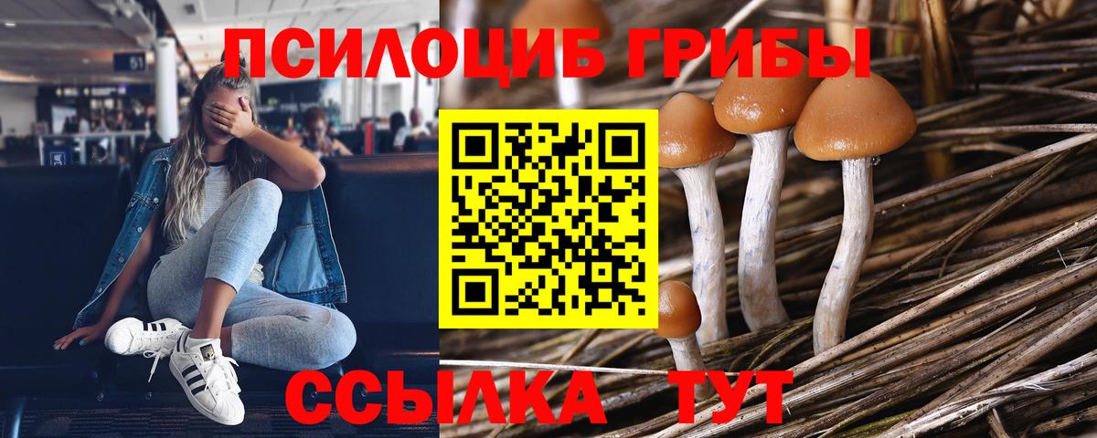 Выкса  Псилоцибиновые грибы Cubensis  Вход с VPN 