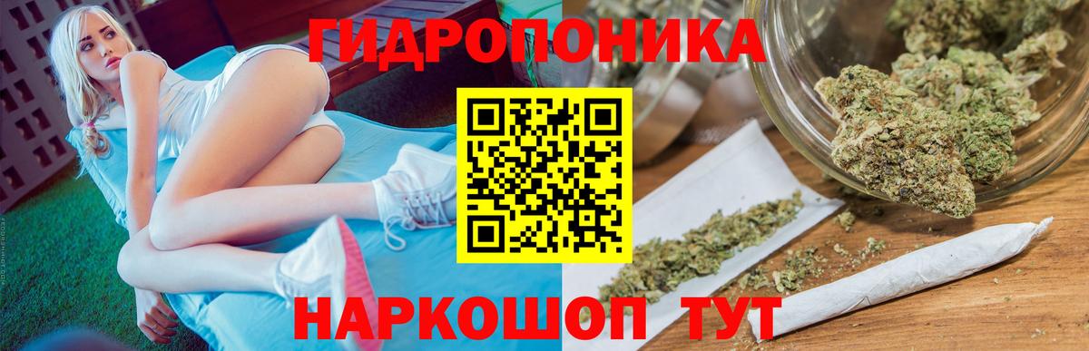 Бошки марихуана сатива Выкса